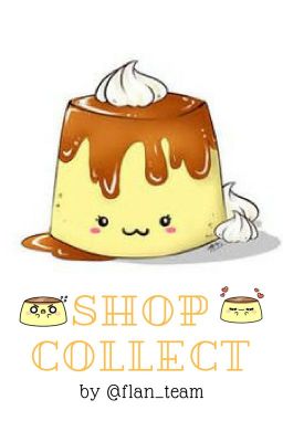 Collect Shop [Flan_team]