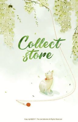 Collect Store [MHT]