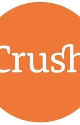 Crush à,Cậu thích tôi được chứ???