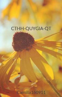 CTHH-QUYGIA-QT
