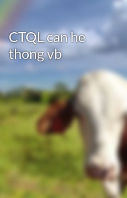 CTQL can he thong vb