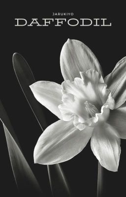 Daffodil - KokoInui