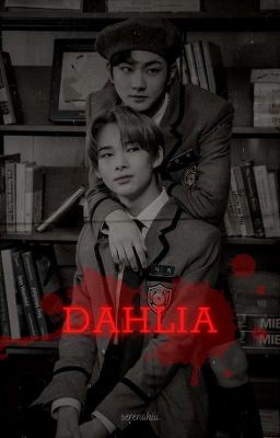 Dahlia | wonki