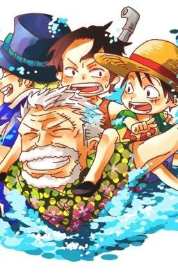 Đảo hải tặc (One Piece sự trải nghiệm điên rồ)