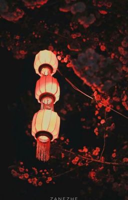 Đèn lồng treo cao | yoonseok