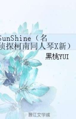 (Detective Conan đồng nhân Gin x Shin) Sunshine