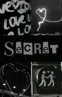 diary; secret