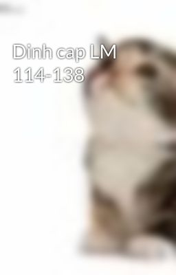 Dinh cap LM 114-138