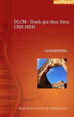 DLCM - Danh gia thuc hien CNH-HDH