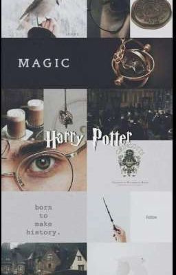 [ĐN Harry Potter] Thời Không Nghịch Đảo