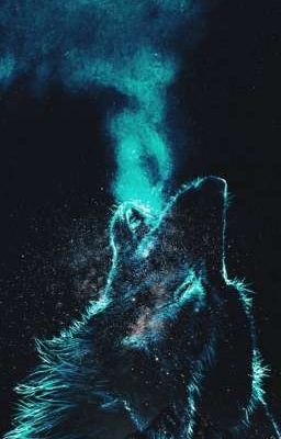 [ ĐN OP ] Wolf