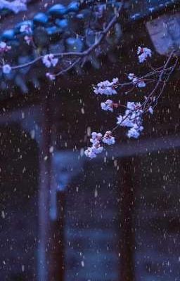 [DNBSD] Tuyết và em