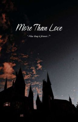 [ Đồng nhân Harry Potter ] More than love 