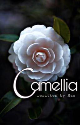 [Đồng nhân NHAC] Camellia