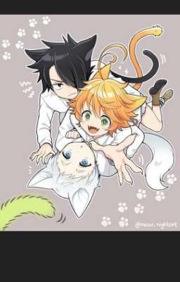 Doujinshi tự dịch (The Promised Neverland)