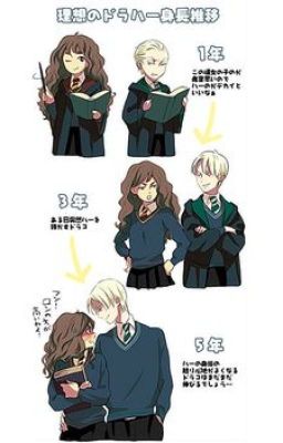 Draco Malfoy x Hermione Granger: love or hate