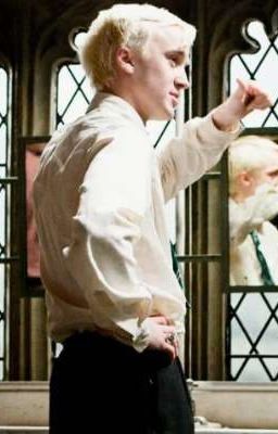 Draco malfoy× y/n tôi yêu em nhiều hơn em nghĩ...