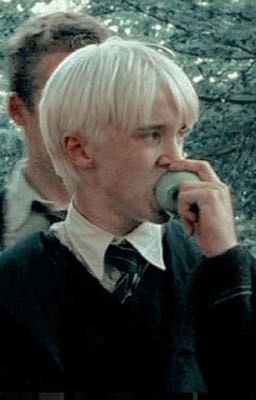 [Draco-You] Mãi bên em🐰