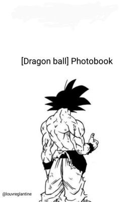 [Dragon ball] Photobook 