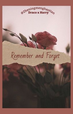 [DraHar] Remember and Forget/ Kí Ức Và Quên Lãng