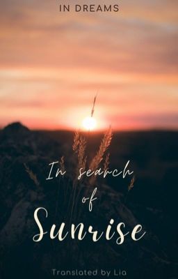 [Dramione - Oneshot] In search of sunrise