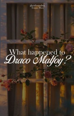 [Drarry|HPDM|Dịch] What Happened to Draco Malfoy? - ghostlynimbus