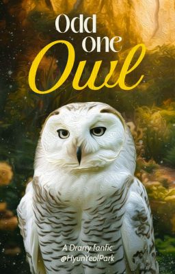 [Drarry] Odd One Owl
