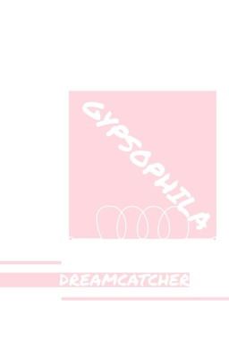 [Dreamcatcher] Gypsophila