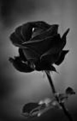 Drop CHS | Black Rose