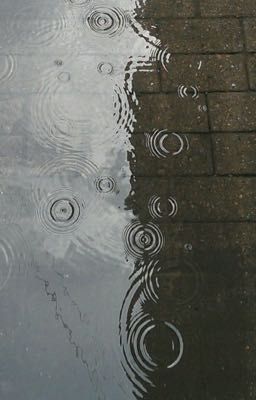 Dưới những cơn mưa
