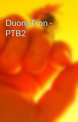 DuongTron - PTB2