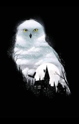 [Edit] [HarDra] The Owl Who Came for Christmas