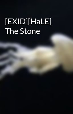 [EXID][HaLE] The Stone