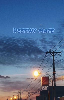 [F6] Destiny Mate {ABO}
