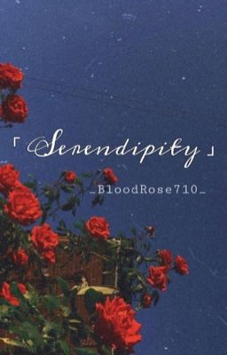 [Fanfic One Piece ] Serendipity