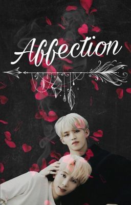 [Fanfic Seventeen] Affection