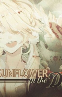 [FANFIC TOUKEN RANBU] [AkaShishi] Sunflower in the Dark