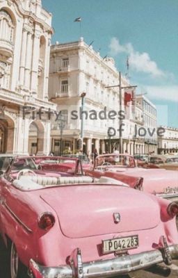 Fifty Shades Of Love (Bác Chiến) 
