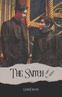 [GEMINIFOURTH | Hogwarts au] The Snitch