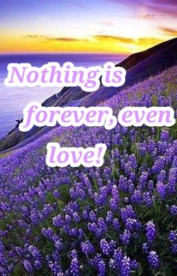 [ Genshin Impact x Reader ] Nothing is forever, even love!