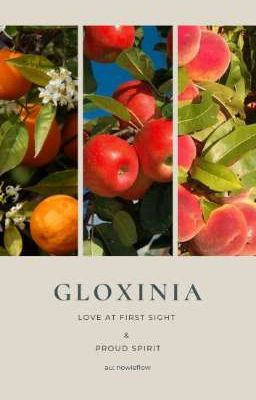 gloxinia 
