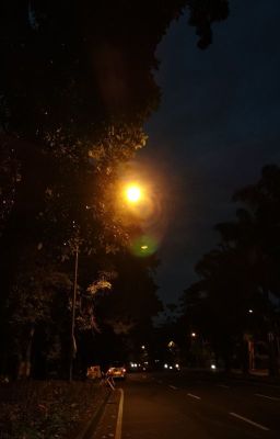 [Goyuu] ánh đèn đường