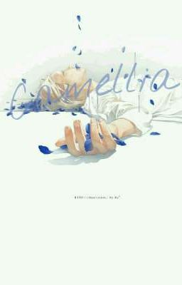 guktae•camellia•