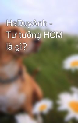 HaDuyAnh - Tư tưởng HCM là gì?