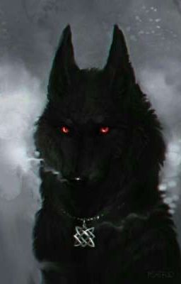 [hankisa] wolf.