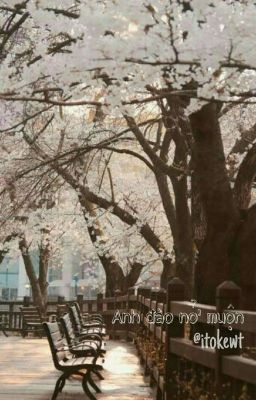 HanSang ➳ Anh Đào Nở Muộn • 늦은 벚꽃