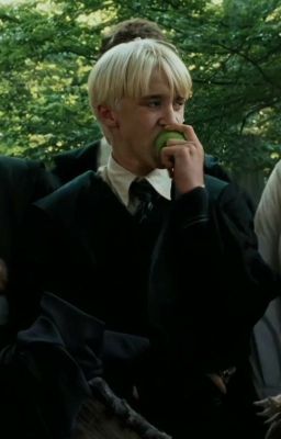 [Hardra] Môi mày thơm mùi táo xanh thật, Malfoy.