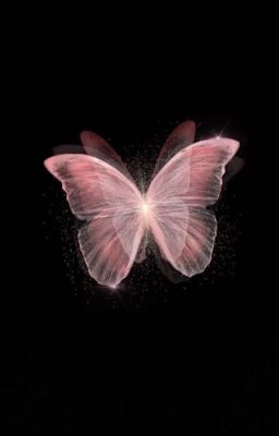 heejake | butterfly