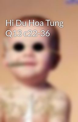 Hi Du Hoa Tung Q13 c22-36