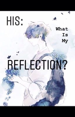 HIS: What Is My Reflection?